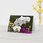 Orchidée, carte (Fleur jaune)