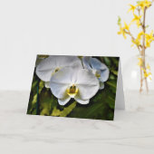 Orchidée, carte (Fleur jaune)