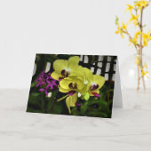 Orchidée, carte (Fleur jaune)