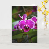 Orchidée, carte (Fleur jaune)