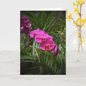 Orchidée, carte (Fleur jaune)