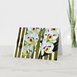 Orchidée, carte