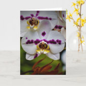 Orchidée, carte (Fleur jaune)