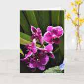 Orchidée, carte (Fleur jaune)