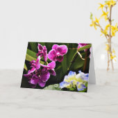 Orchidée, carte (Fleur jaune)