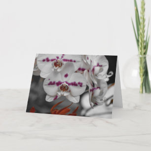 Orchidée, carte