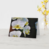 Orchidée, carte (Fleur jaune)