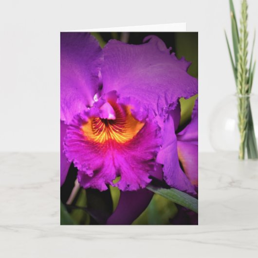 Orchidée, carte (Devant)
