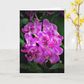 Orchidée, carte (Fleur jaune)