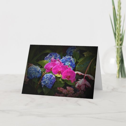 Orchidée, carte (Devant)