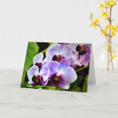 Orchidée, carte (Fleur jaune)