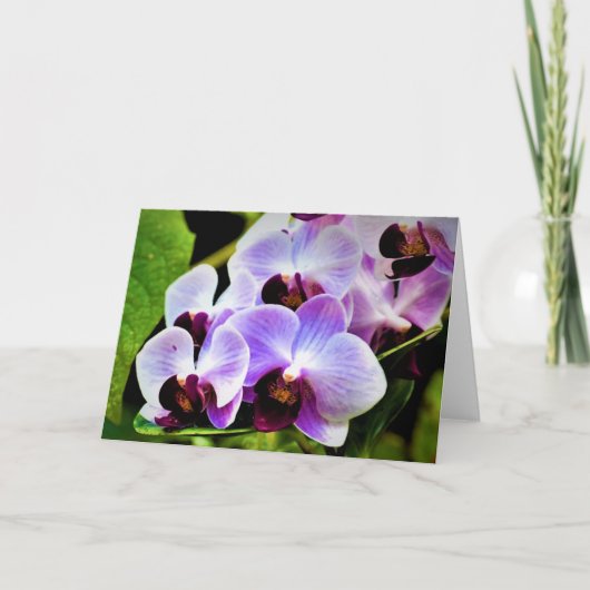 Orchidée, carte (Devant)