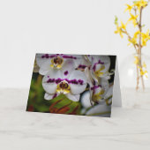 Orchidée, carte (Fleur jaune)