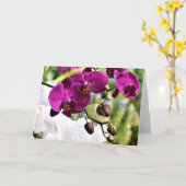 Orchidée, carte (Fleur jaune)