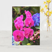 Orchidée, carte (Fleur jaune)