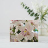 Orchidée ・ Carte postale (Debout devant)