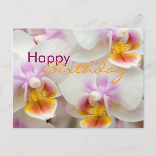 Orchidee Carte Postale Anniversaire Zazzle Be