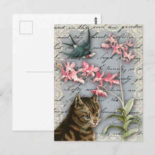 orchidee collage Briefkaart (Voorkant / Achterkant)