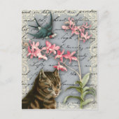 orchidee collage Briefkaart (Voorkant)