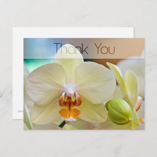 Orchidee · Dank u Briefkaart (Voorkant / Achterkant)