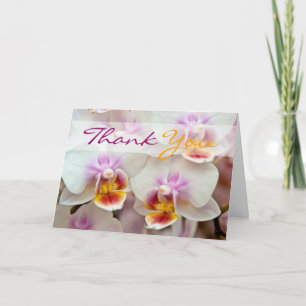 Orchidee • Dankkaart Bedankkaart