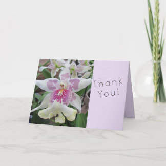Orchidee Dankkaart Kaart