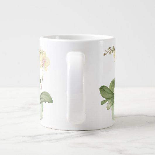 Orchidée dans le pot vert dans la grande tasse (Dos)