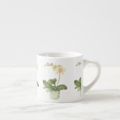 Orchidée dans le pot vert dans la tasse botanique (Droite)