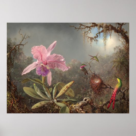 Orchidée de Cattleya - Poster d'art raffiné Martin (Devant)