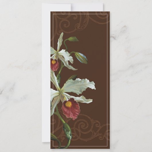 Orchidée de Cattleya taupe brun - Faire-part de ma (Dos)