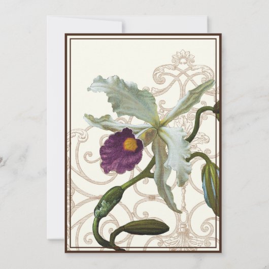 Orchidée de Cattleya violet Brown - Faire-part de  (Dos)