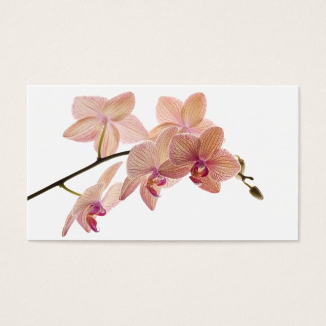 Orchidée Dendrobium rose et Pêche - Customisée (Devant)