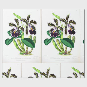 "Orchidee-Donker-paarse-zwart" Cadeaupapier