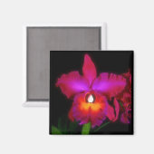 Orchidee droommagneet magneet (Voorkant / Achterkant)