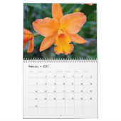 Orchidee-extravaganza Kalender (Feb 2027)