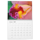 Orchidee-extravaganza Kalender (Jan 2027)
