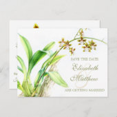 Orchidée fleur peinte enregistrer la carte de date (Devant / Derrière)