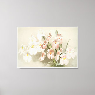 Orchidee geïllustreerd canvas afdruk