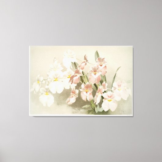 Orchidee geïllustreerd canvas afdruk (Voorkant)