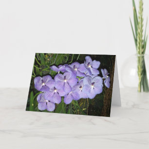 Orchidee Groeten Kaart