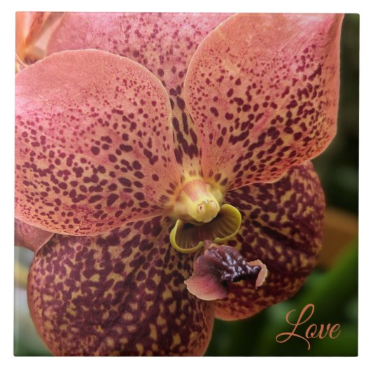 Orchidee in de ochtend tegeltje (Voorkant)