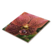 Orchidee in de ochtend tegeltje (Zijkant)