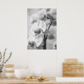 Orchidee in schwarz/weiß poster (Keuken)