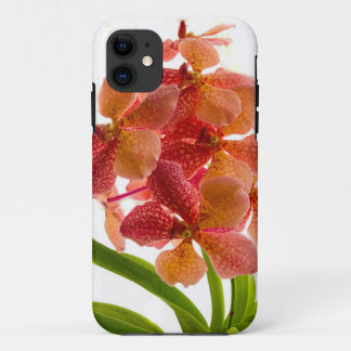 Orchidee iPhone Hoesje
