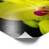 Orchidée jaune - Impression photo (Coin)