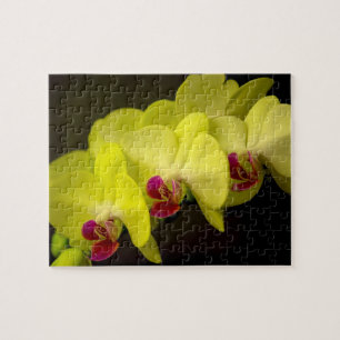 Orchidée jaune - Puzzle photo