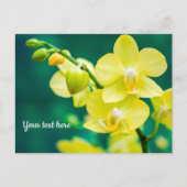 Orchidée jaune sur carte postale verte (Devant)