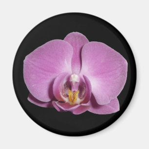 orchidee magnet magneet