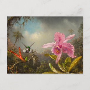 Orchidee met twee kolibries kop briefkaart