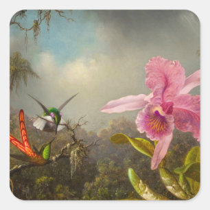 Orchidee met twee kolibries kop vierkante sticker